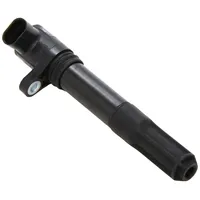 BorgWarner (Beru) Beru Zündspule