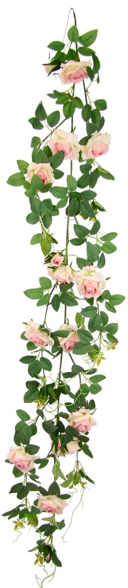 Kunstblume I.GE.A. 