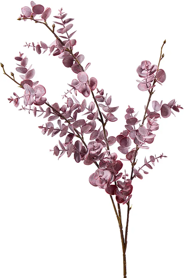 Eucalyptus Zweig 55cm burgund