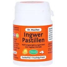 Dr. Muche GmbH Ingwer Pastillen zuckerfrei