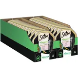 Sheba Nature's Collection mit Lachs 22 x 85 g