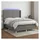 vidaXL Boxspringbett mit Matratze & LED Dunkelgrau 140x200 cm Stoff
