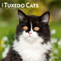 Browntrout Verlags GmbH Tuxedo Cats - Tuxedo Katzen 2026