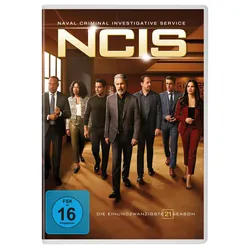 Navy CIS: Staffel 21  [4 DVDs]