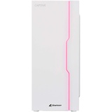 Captiva Advanced Gaming R78-819 Ryzen 7 RTX 4060 Ti (AMD Ryzen 7 5700X, 16 GB, 500 GB, SSD, GeForce RTX 4060 Ti), PC, Weiss
