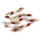 Glorex  Marienkäfer Mini Wäscheklammer Holz Mehrfarbig 11 x 5,6 x 1 cm 12 Einheiten