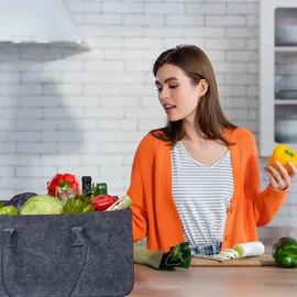 Relaxdays Kaminholztasche Filz 28 l 2er Set grau