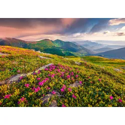 Fototapete PAPERMOON "BLUMEN-NATUR LANDSCHAFT BERGE GEBIRGE ALPEN LAVENDEL", bunt, B:3,50m L:2,60m, Vlies, Tapeten