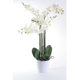 Wackadoo® Kunstblume Orchidee 80 cm mit real Touch Effekt der Blätter und Blüten in weißem Umtopf, Kunstblumen wie echt, Orchideen künstlich, künstliche Orchideen Frühlingsdeko