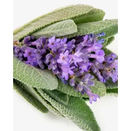 YODEYMA Résolu Eau de Parfum 100 ml