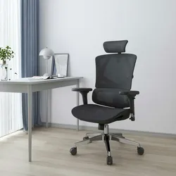 SIHOO Bürostuhl Schreibtischstuhl ergonomisch, Lordosenstütze hohe Rückenlehne 3D-Armlehnen ~ Mesh schwarz