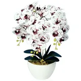 Kunstorchidee Orchidee, damich, Höhe 60 cm, Künstliche Orchidee im Blumentopf weiß