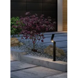 Paulmann LED Pollerleuchte Ilias anthrazit 94262