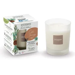 Esteban Nachfüllbare Duftkerze Wilder zeder Kerzen 180 g 