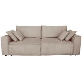 SUN GARDEN Carryhome Schlafsofa, Grau, 2-Sitzer, Füllung: Polyester, Schaumstoffflocken,Polyester, Schaumstoffflocken, 199x95x97 cm, Schlafen auf Sitzhöhe, Wohnzimmer, Sofas & Couches, Schlafsofas, Schlafsofas mit Bettkasten
