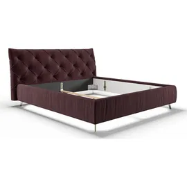 KAWOLA Bett ANNY Polsterbett Velvet purple