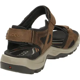 ECCO Offroad Herren espresso/cocoa 46