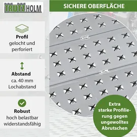 Baumarktplus TRUTZHOLM 1 x Auffahrrampe 200 x 70 cm Traglast 270kg Alu grau Profiliert