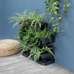Prosperplast Vertikales Pflanzgefäße-Set für Kräuter und Blumen, IO2W600S