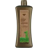 Salerm Biokera Salerm Argan Shampoo 1000 ml