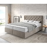 DeLife Boxspringbett Dream-Great 160x200 cm Mikrofaser Beige mit Matratze und Topper