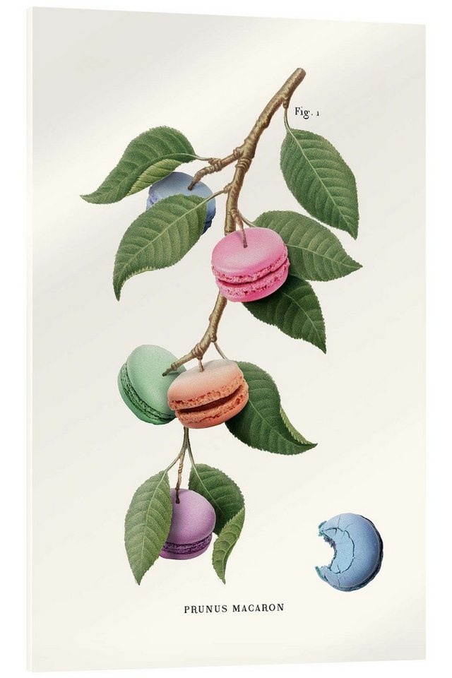 Posterlounge Acrylglasbild Jonas Loose, Macaron-Pflanze, Kinderzimmer Illustration beige 40 cm x 60 cm