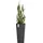 Ecopots Pflanztopf Rotterdam hoch Dunkelgrau 70 cm