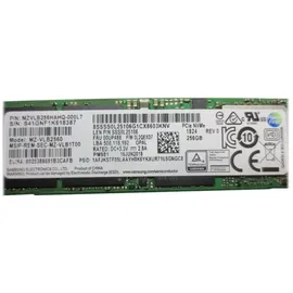 Lenovo PM981 300 GB M.2 2280