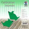 URSUS Falten Faltblätter Uni intensiv, Plakatkarton, 65 g/m2, 15 x 15 cm, dunkelgrün