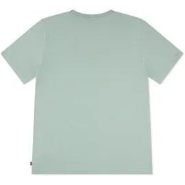 Levi's Jungen, grün, BATWING T-Shirt - 16 Jahre