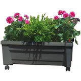KHW Bewässerungsblumenkasten Calypso 79 x 34 x 33 cm anthrazit inkl. Rollen