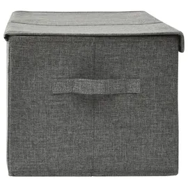 vidaXL Aufbewahrungsbox 50 x 30 x 25 cm 1-tlg. anthrazit