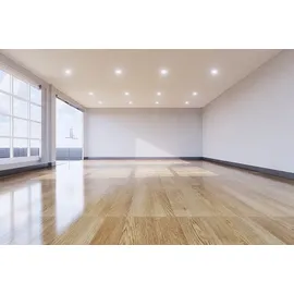 BIOHY Bodenreiniger Konzentrat 1 l