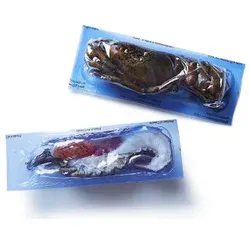 Hafro MSC Hummer halbiert. roh 300g
