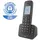 Telekom Sinus A207