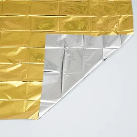 Leina-Werke KFZ-Rettungsdecke 160 x 210 cm silber/gold