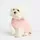 Fashion Dog Hundepullover aus Kaschmirwollmischung Rosa 33 cm