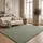 The CarPET Teppich THE CARPET "kuschelig & Super Soft, Anti-Rutsch Unterseite", grün, B:300cm H:16mm L:400cm, Polyester, Teppiche, Teppich, Waschbar bis 30 Grad, Felloptik, Wohnzimmer Teppich, Kundenliebling