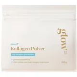 Glow25 Fisch Kollagen Pulver 300 g