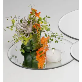 SANDRA RICH Glasplatte Spiegelplatte Mirror 6 Stück rund 0,5 cm Ø 25 cm