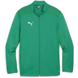 PUMA teamFINAL Trainingsjacke Kinder 05 - sport green/puma silver 152