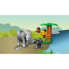 LEGO Duplo Dschungel 10804