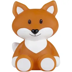 flow Amsterdam Nachlicht Fuchs Robin, orange