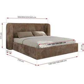 MKS Meble Polsterbett EMORA CLASSIC - braun ¦ Maße (cm): B: 243 H: 111