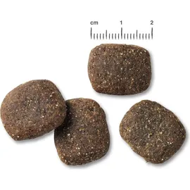 Belcando Adult Power 12,5 kg