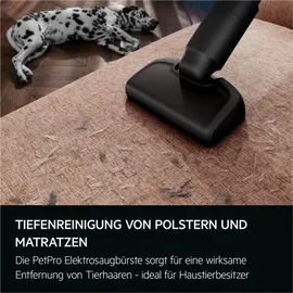 AEG 6000 Akku-Staubsauger AP61AB21DG