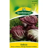 Quedlinburger Radicchio ''Rossa di Verona''