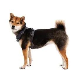 Ruffwear Front Range Hundegeschirr basalt gray XS