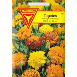 Philipp Klein GmbH Tagetes, Studentenblumen, Tagetes patula nana, ca. 200 Samen