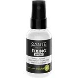 Sante Fixing Spray